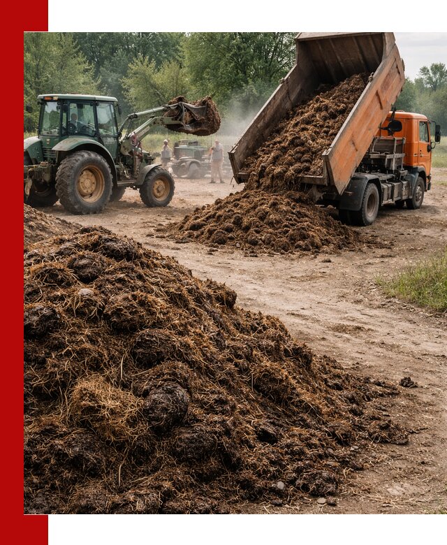 Доставка навоза самосвалами в Великих Луке для сельхозпотребностей