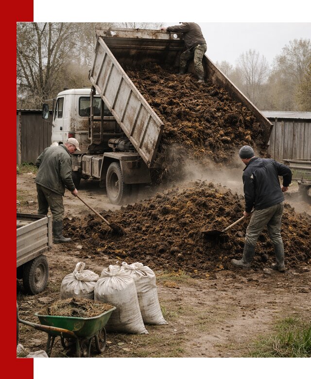 Доставка коровьего навоза самосвалом в Великих Луке